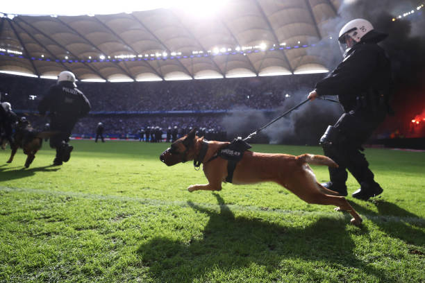 错过直播怎么办？欧冠赛后回放资源整理（附链接