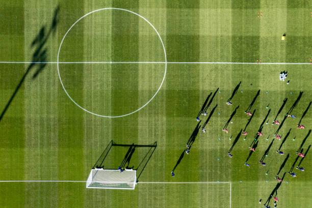 未来可期!大连9号某东能否带领球队重返巅峰?