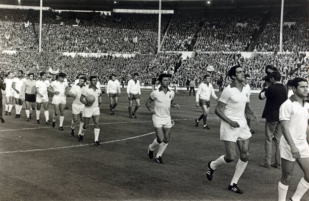 二年级看图写话：足球跑到马路上了