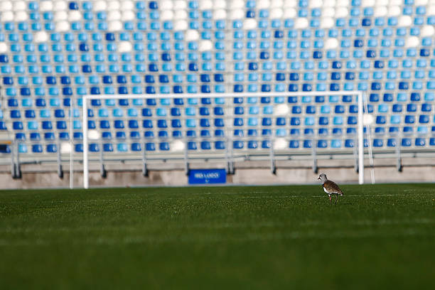 海外也能用！支持多语言的足球直播App推荐