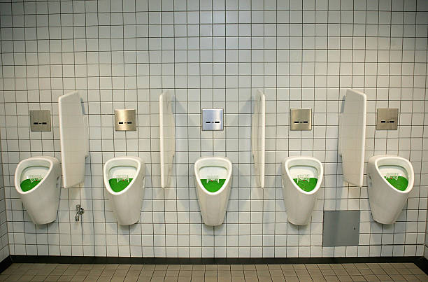 2024年世界足坛王者是谁？FIFA排名TOP1解析