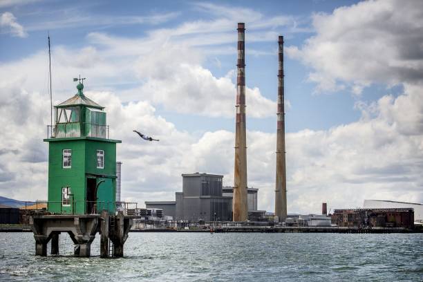 菲尔普斯身高体重大公开:为什么他的体型适合游泳?