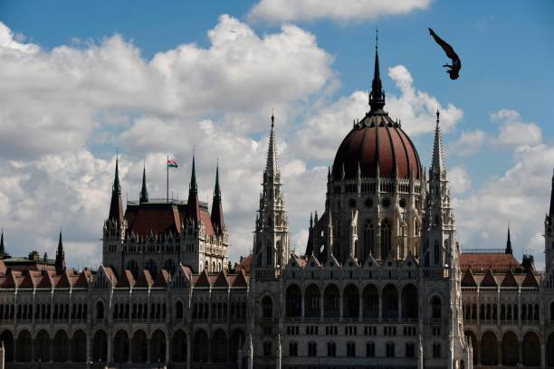 跳水大奖赛总决赛：CCTV5直播冠军诞生时刻