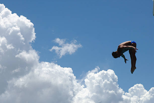 菲尔普斯毛线官网:探索高品质毛线及编织材料的世界