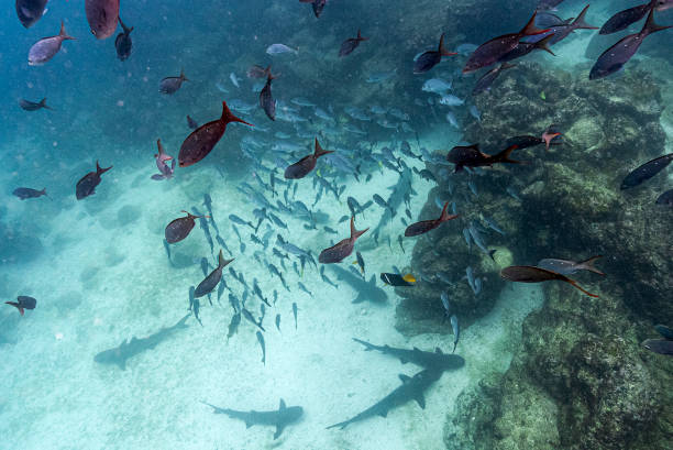 长跑冠军的跑步技巧大揭秘！看完你也能跑得更快