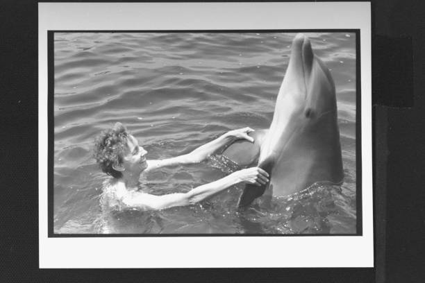 游泳比赛规则简介模板：快速上手写作