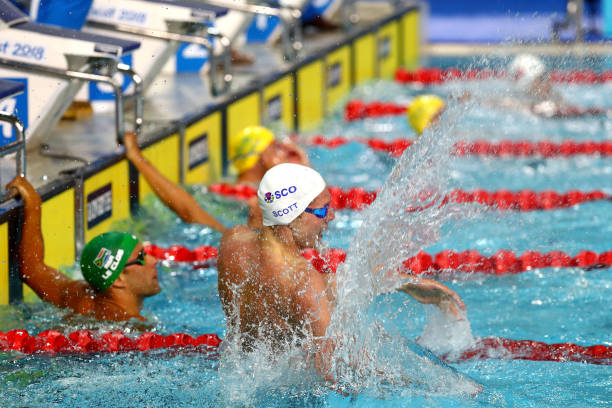 如何通过身份证号查询国家游泳证书信息？