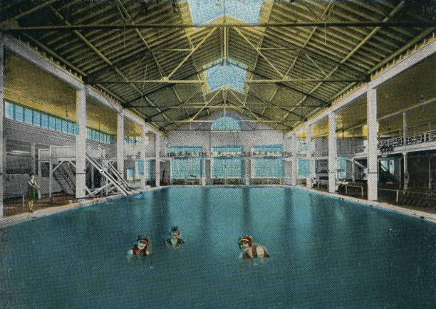 纸鱼为什么会游泳?揭秘背后的科学原理