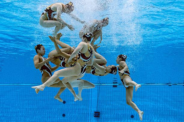 游泳赛事成绩查询平台:精准记录与展示赛事成绩