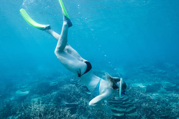 室内游泳池维护保养：日常清洁与水化学平衡管理