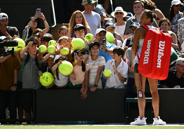 法网比赛中的挑战鹰眼系统使用规则