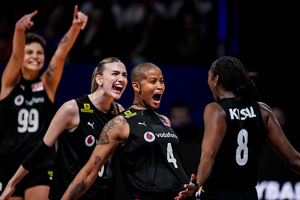 触网入门指南：定义、类型与应用场景